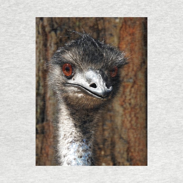 Emu by kirstybush